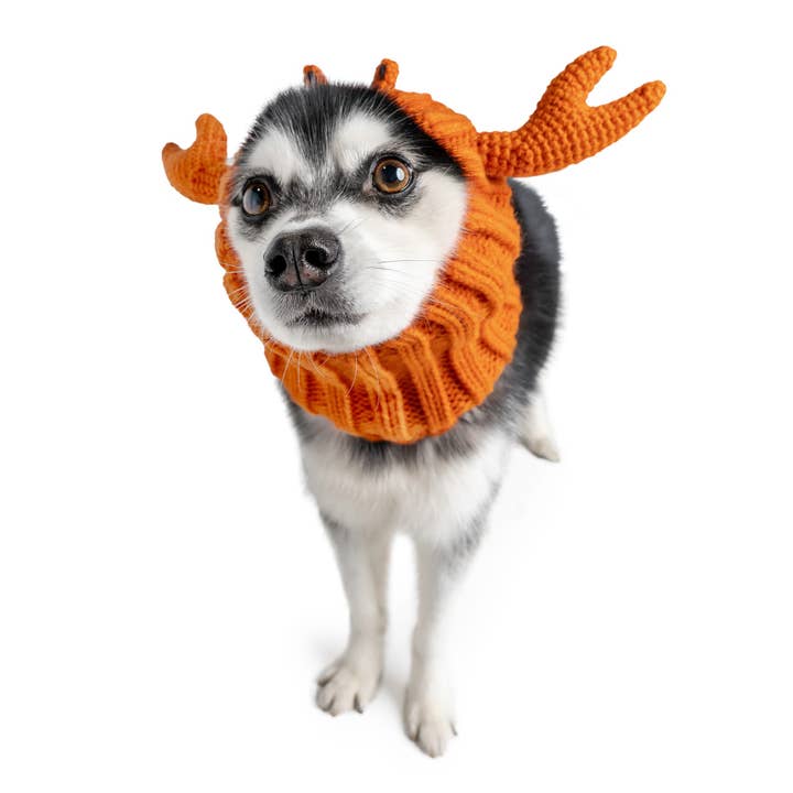 Crab Dog Snood for wholesale by Zoo Snoods