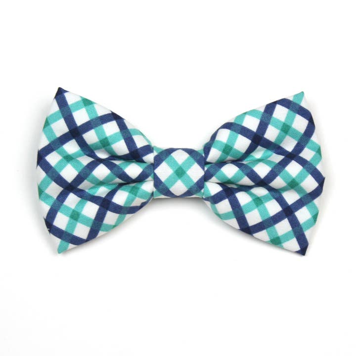 Papillon Teal Me 'Bout It per la vendita all'ingrosso da parte di Dusidog