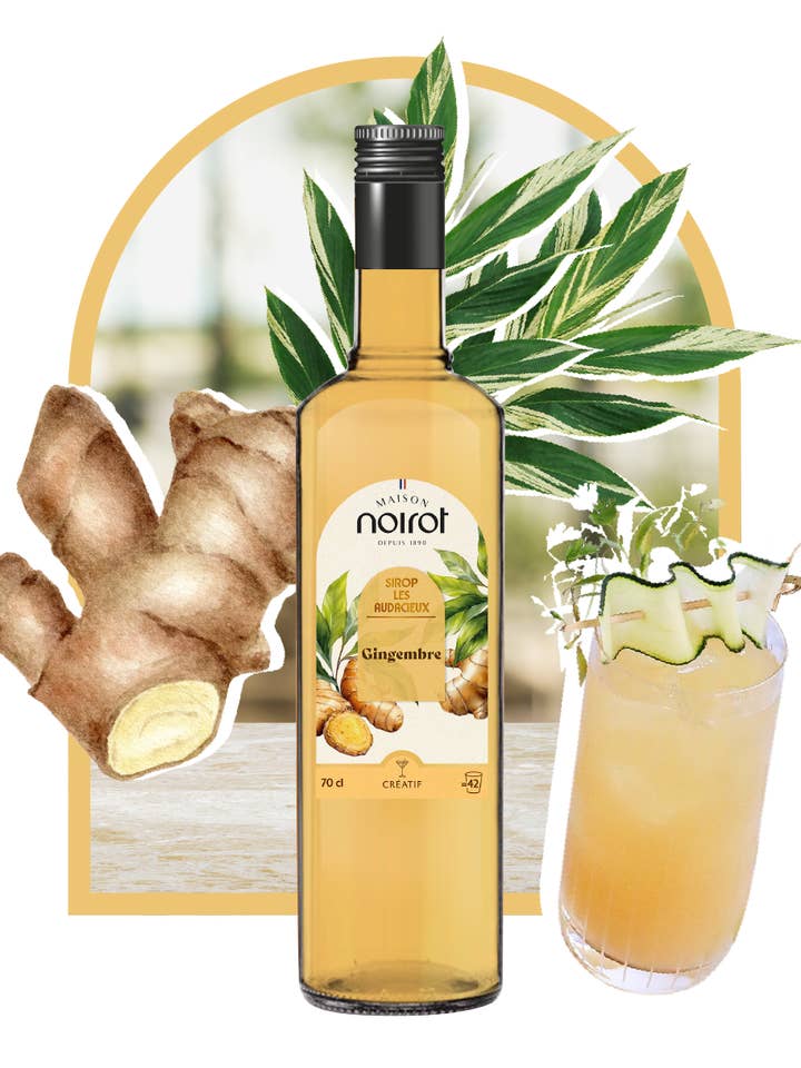 GEMBER SIROOP 70 cl voor wholesale door Antésite - Maison Noirot