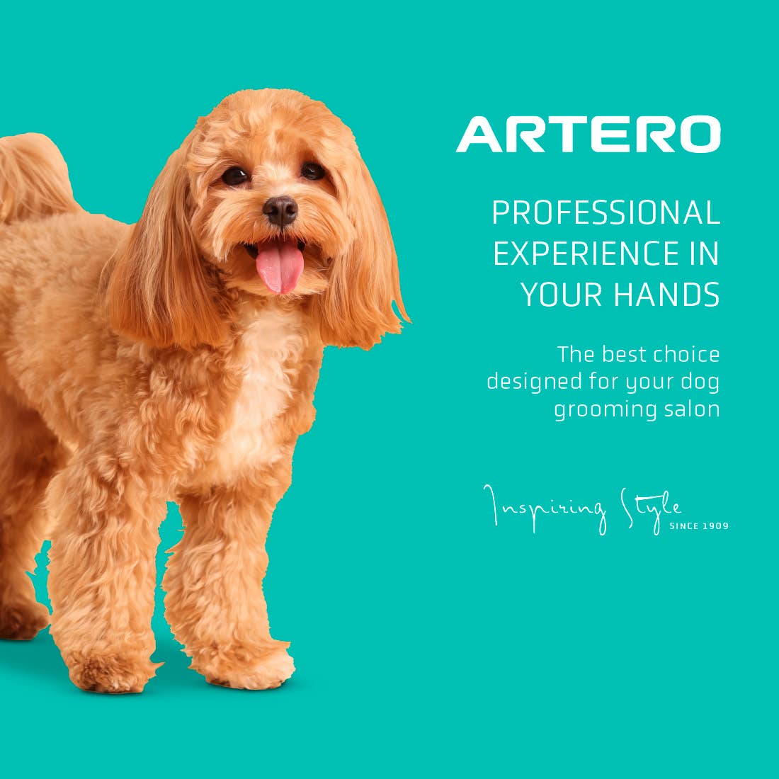 ARTERO UK LTD – wholesale Hair dryer – Artero Exo HairDryer Anthracite UK Plug6