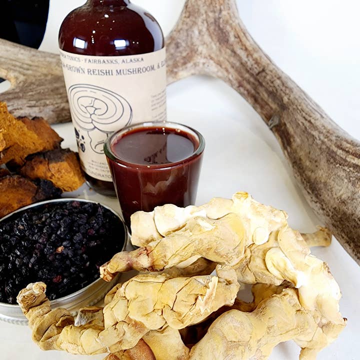 Tundra Tonics – Großhandel Nahrungsergänzungsmittel/Vitamin zum Einnehmen – Alaska Chaga-Pilz, Reishi-Pilz und Holunderbeersirup2
