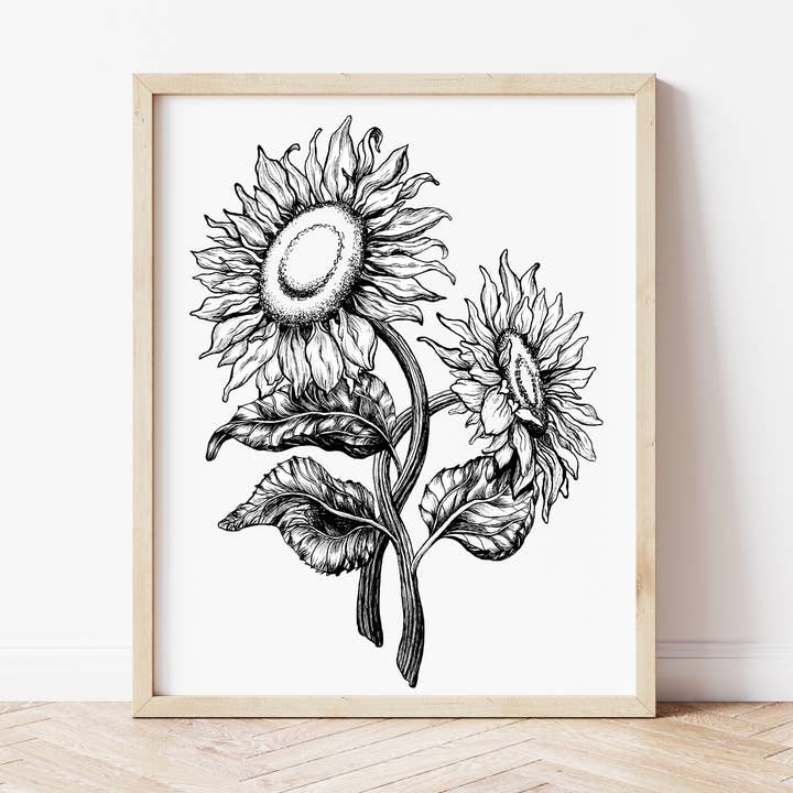 Tournesols noirs et blancs pour la vente par Juniper Company