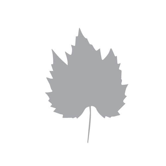 Artifacture - Wholesale Craft Supplies - Laser Cut Fall Themed Calligraphy Blanks (Paper)61