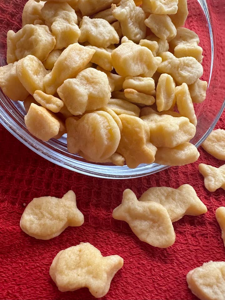 Cheddar Cheese Dog Treats – “Goldfish” Inspired Dog Bites for wholesale by Big Head Barkery