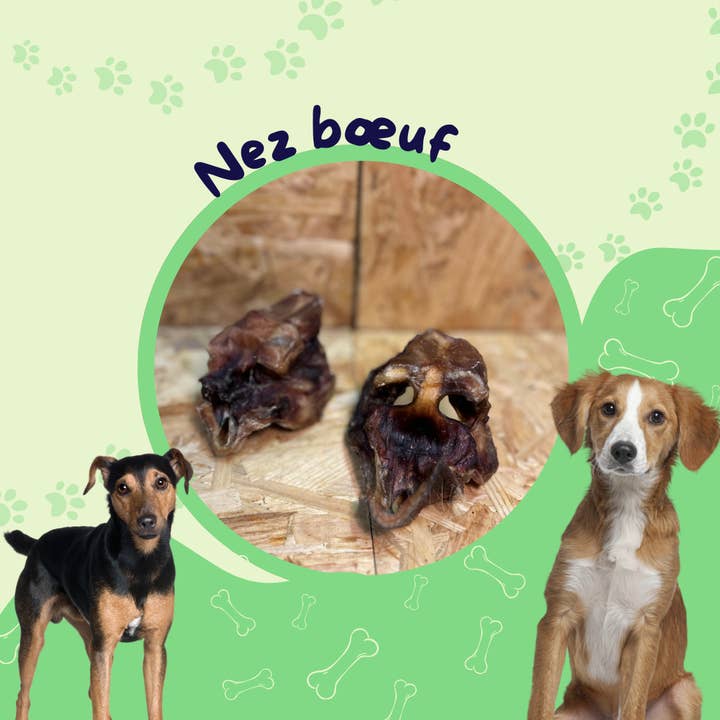 JF animalerie - Wholesale Pet Treats - Dog - Nose Beef Bag 1KG/Dog treat