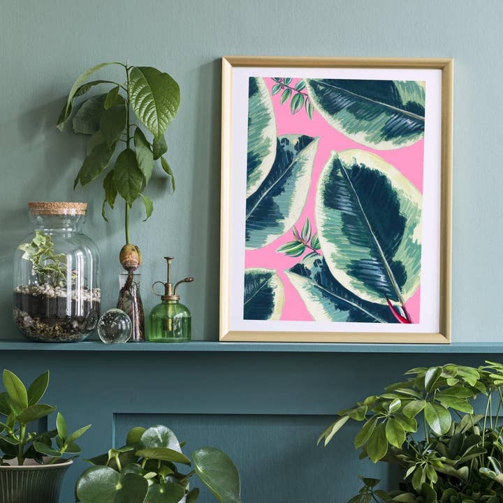 Houseplant Rubber Plant Print for wholesale by Rocket 68