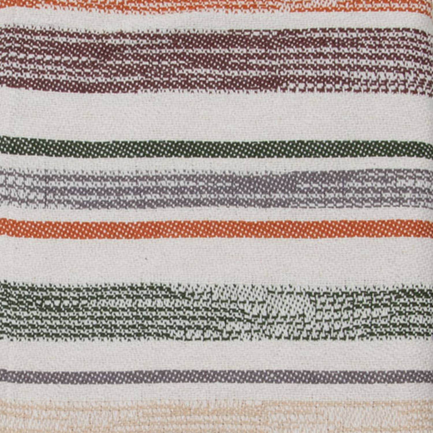 Foreside Home & Garden - Wholesale Throw Blanket - Hayes Woven Cotton Throw Blanket with Tassels Fall Decor4