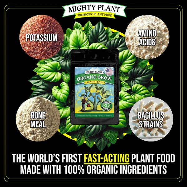 Mighty Plant - Wholesale Fertilizer - Organo Grow™2