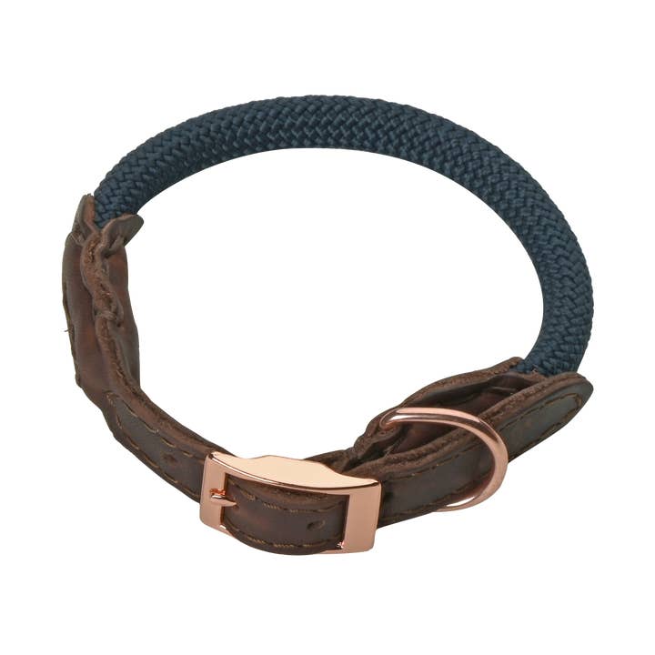 Pet-Joy The DoggyWalker Collar for wholesale by Pet-Joy Products