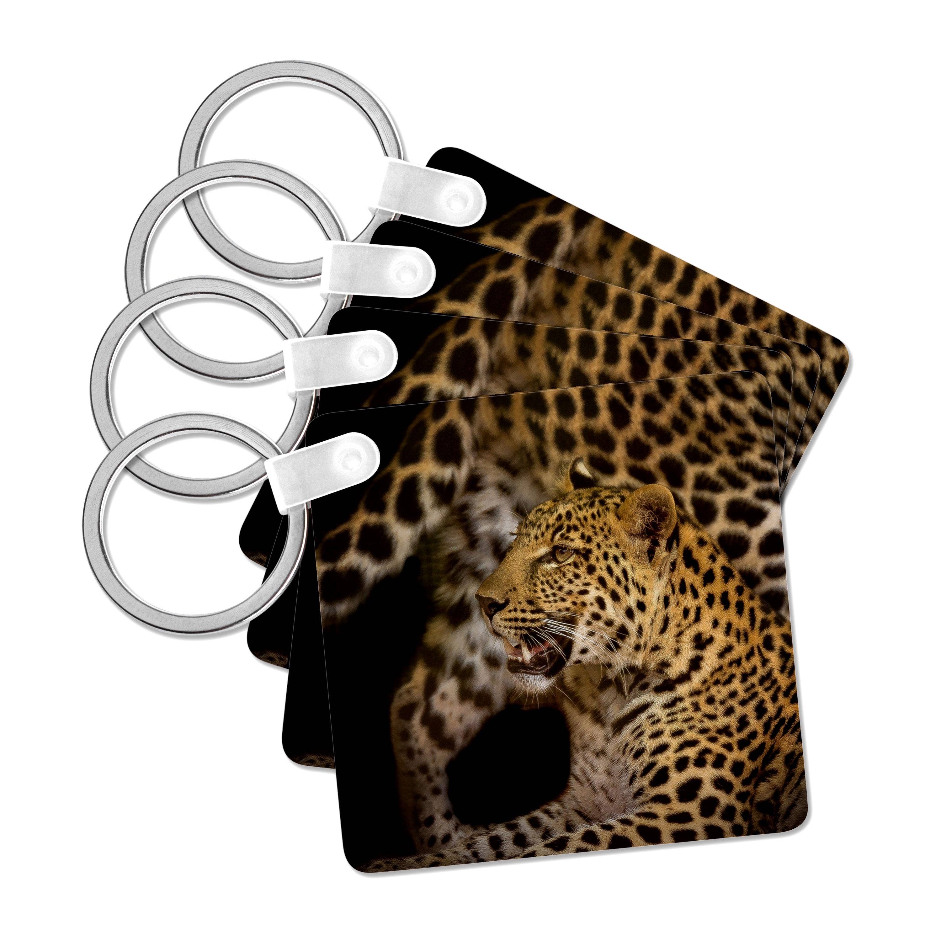 3dRose - Wholesale Keychain - Unisex - 3dRose, Gepard Leopard Wildlife Cat, Key Chain0