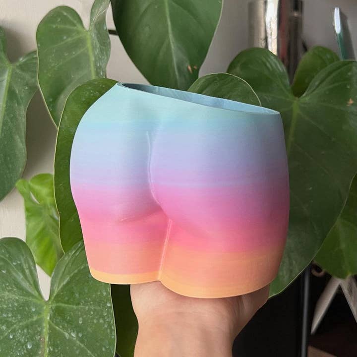 Peachy Pilea - Wholesale Plant Pot - Original Peachy Planter | More Sizes + Colors Available