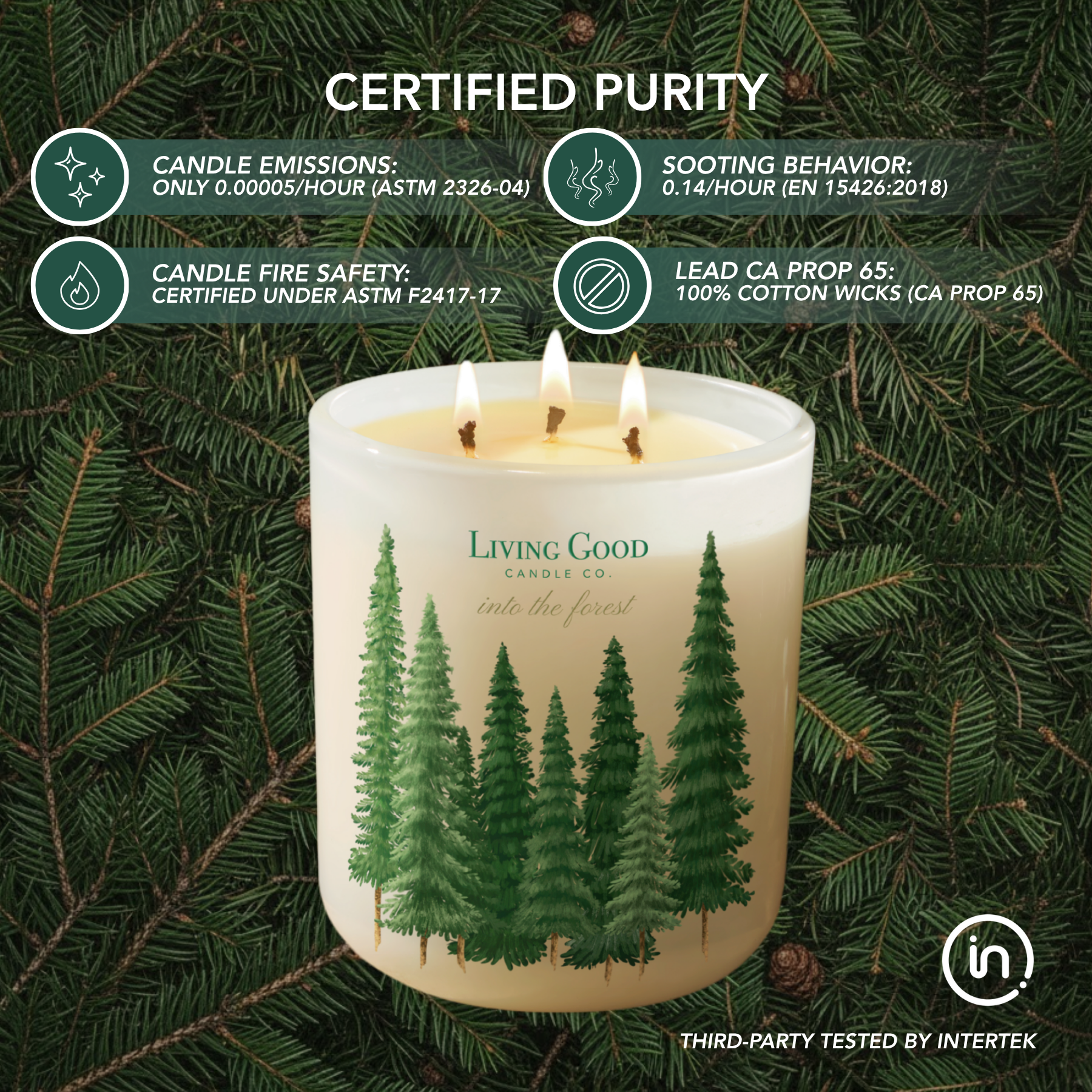 Living Good Candle Co. - Wholesale Jar/Filled Candle - Into The Forest - Beeswax Candle - Pine & Eucalyptus2