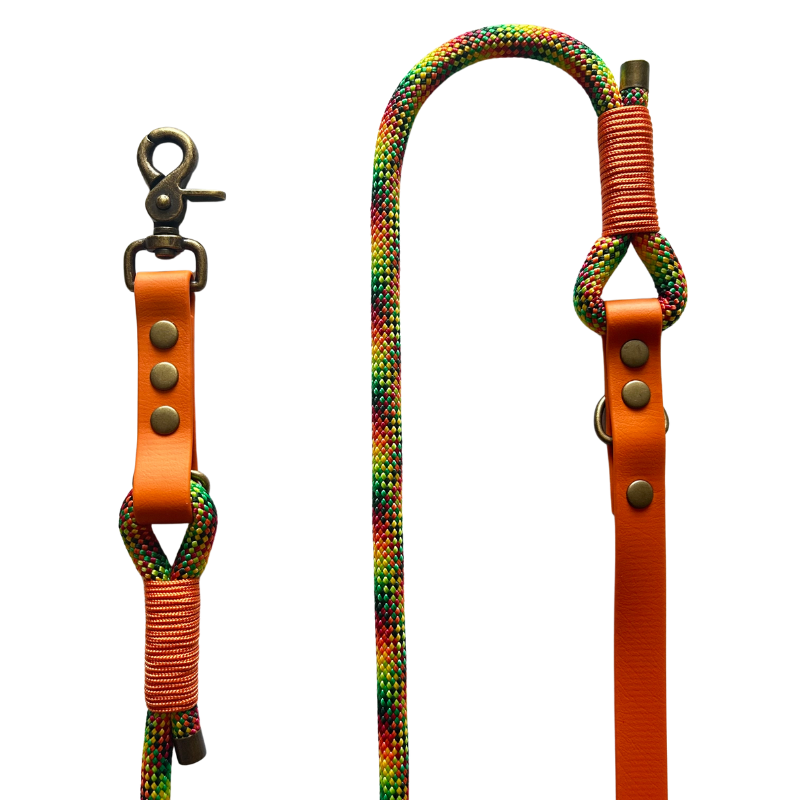 KITSUNE.DOG - Wholesale Pet Leash - Dog - Leave MULTIPOSITION textured paracord / biothane BLUE (Copy)3