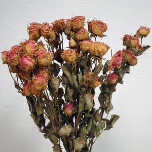 Purchase Wholesale pink dried flowers. Free Returns & Net 60 Terms on Faire