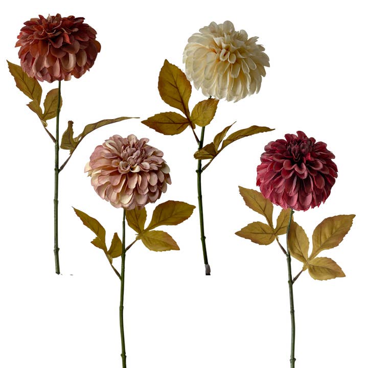 FS110 Dahlia 24" PK 24 pour la vente par Myrians Home Decor