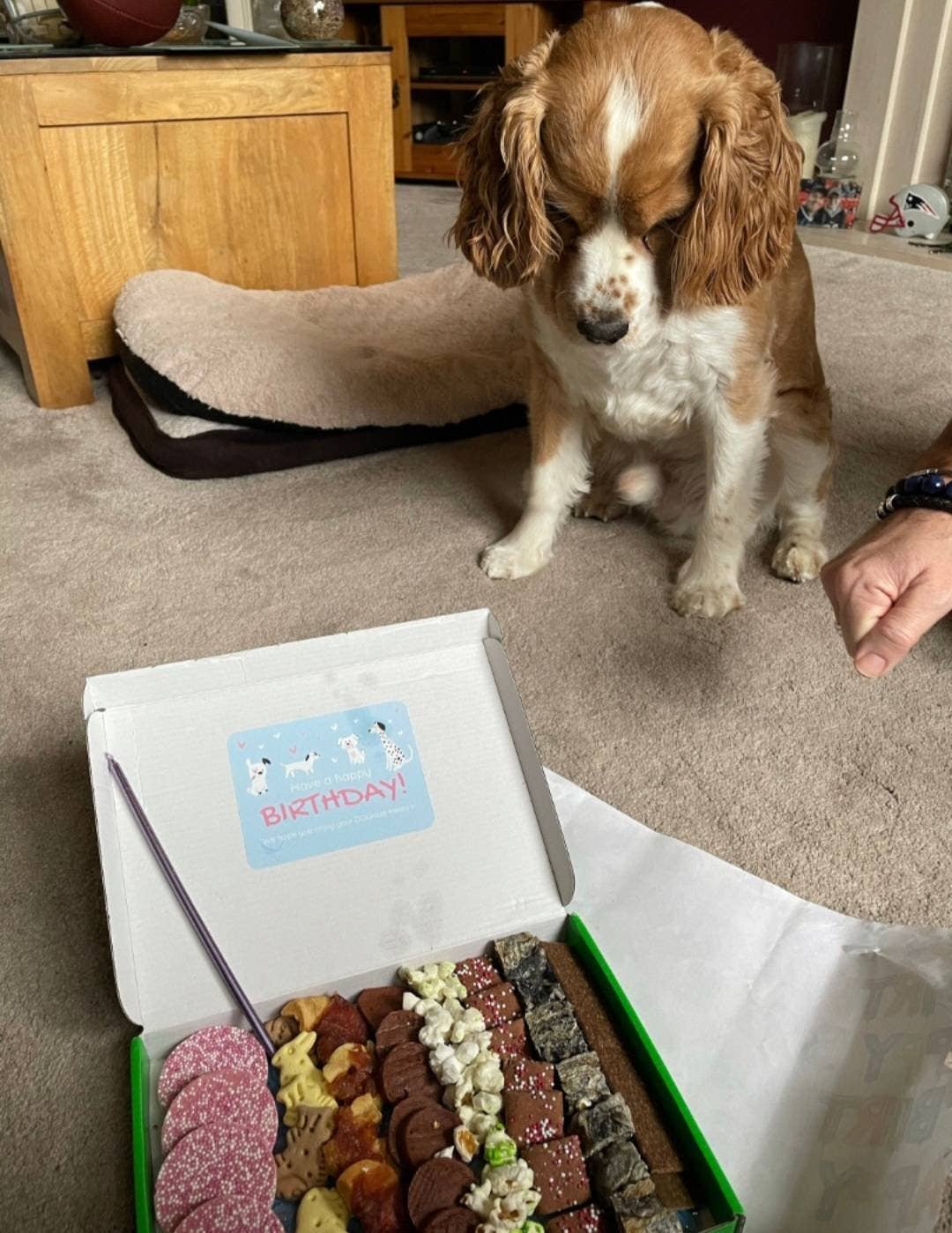 DOGraze - Vente Friandises – chien - Boîte de friandises d'anniversaire pour chien3