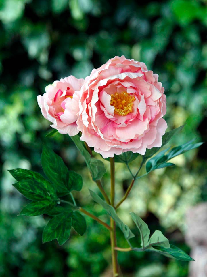 Pivoine artificielle entièrement soufflée de roses mélangées avec bourgeon pour la vente par Mezu Silk Flowers