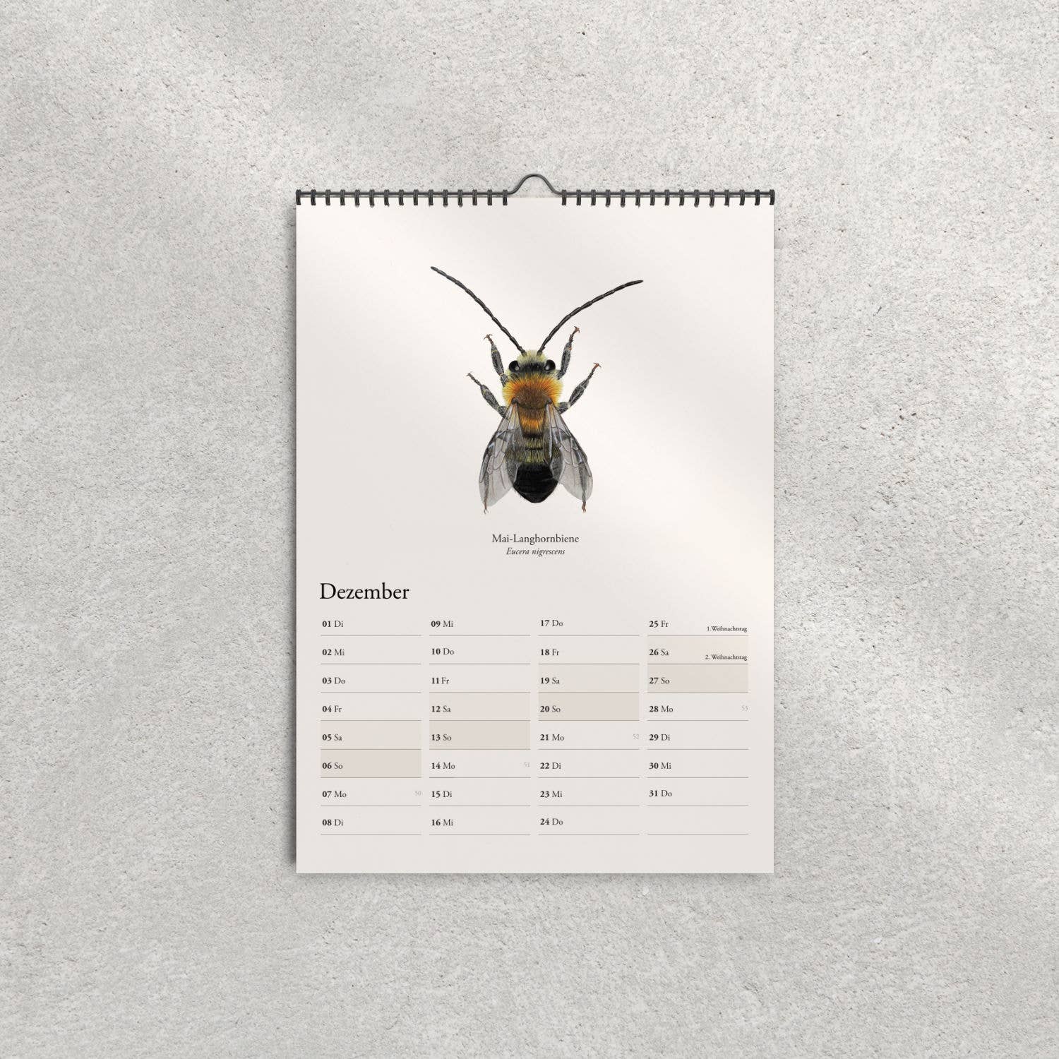 Terillu - Wholesale Calendar - Calendar 2026 – Wall Calendar Native Wild Bees8