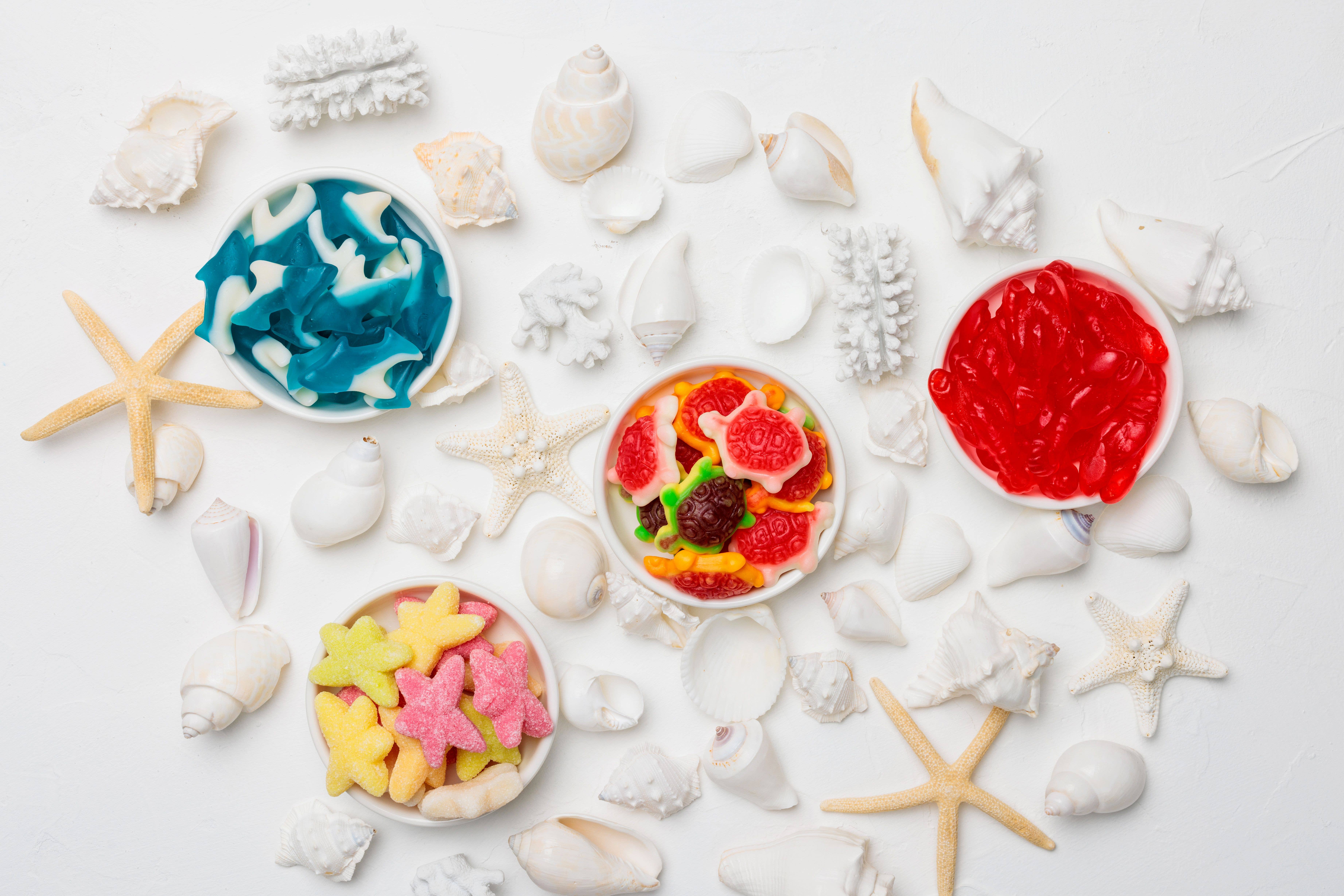 Candy Club - Wholesale Gummy - Jellyshell Sea Turtles3