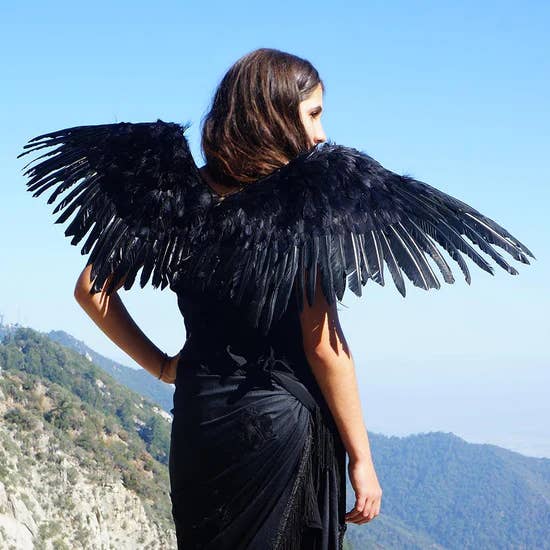 Adult Mockingbird Large Wings Costume - Black Angel Fairy Co for wholesale by Zucker Feather Products
