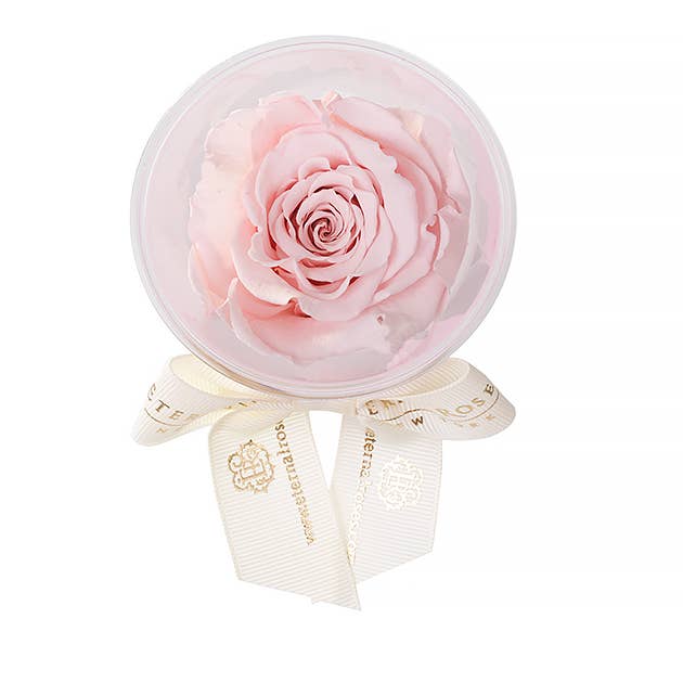 Eternal Roses® - Wholesale Party Favor - Eternal Rose Party Favors4