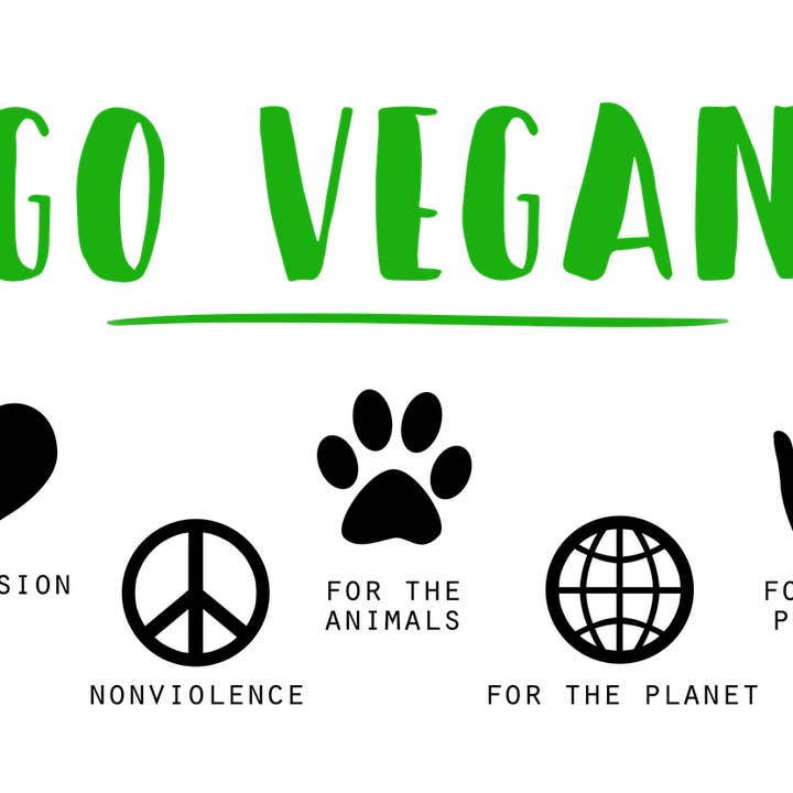 Cibobenessere - Wholesale Herbs - Whole Cinnamon5