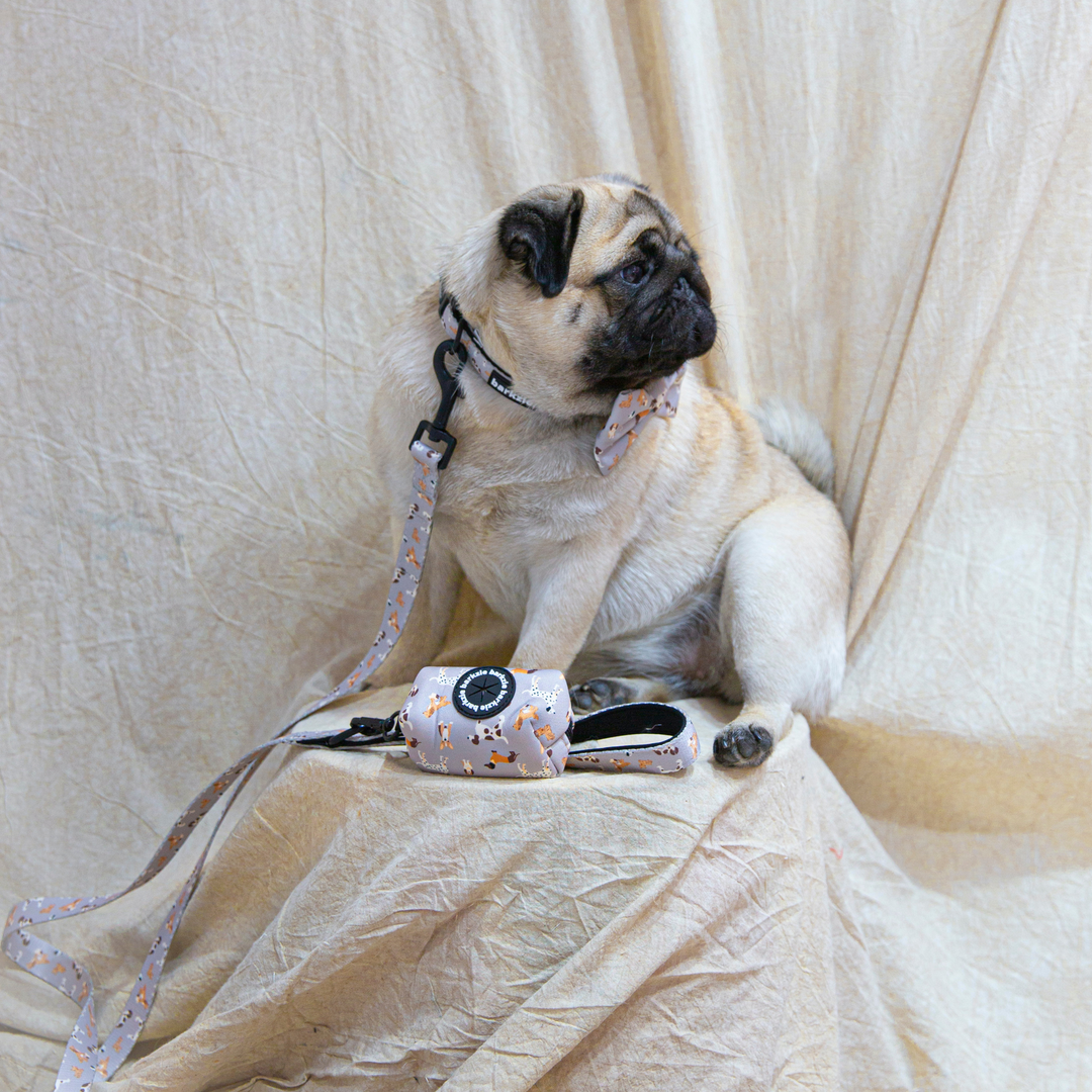 barkzie – Großhandel Leine – Hund – Leine Toronto – 1,50 m flexible und robuste Hundeleine3