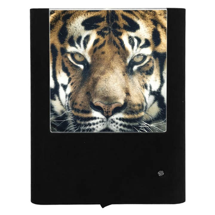Tigre de Bengala por atacado de Nightlight Studio