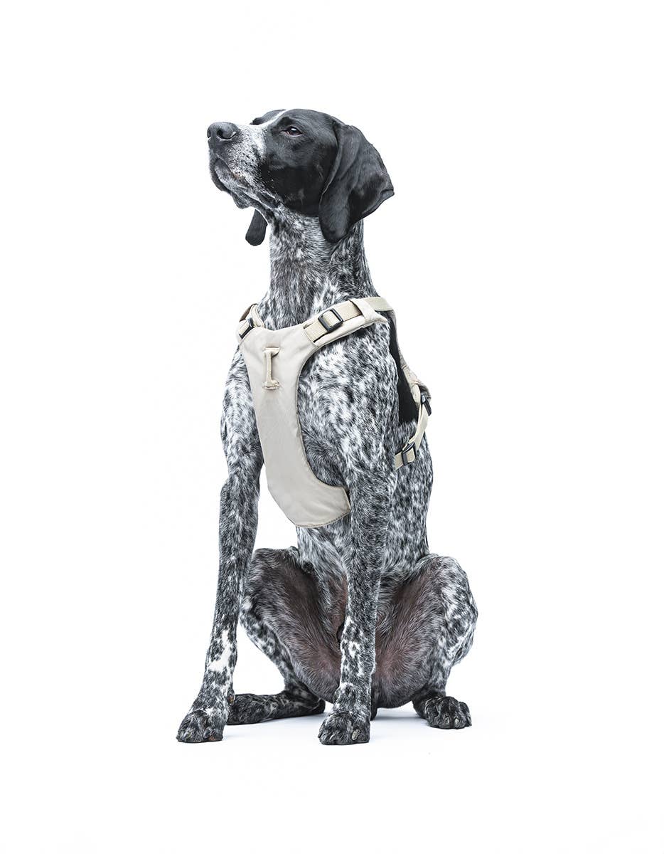 United Pets - Vente Laisse – chien - Harnais rembourré doux pour chien7