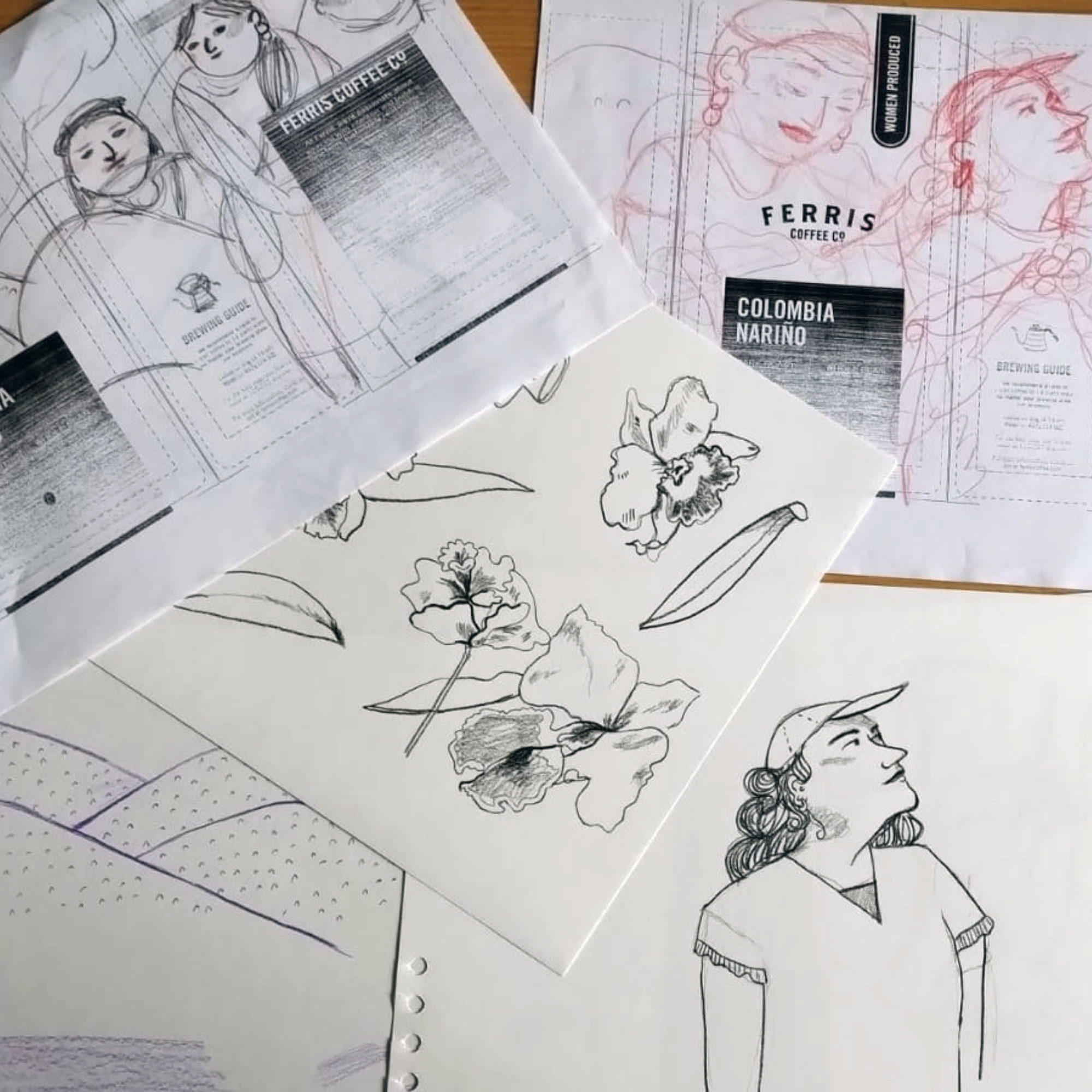 Ferris Coffee & Nut Co. - Wholesale Coffee Beans - Colombia FTO Cafe Femenino (Whole Bean) 10 oz.5