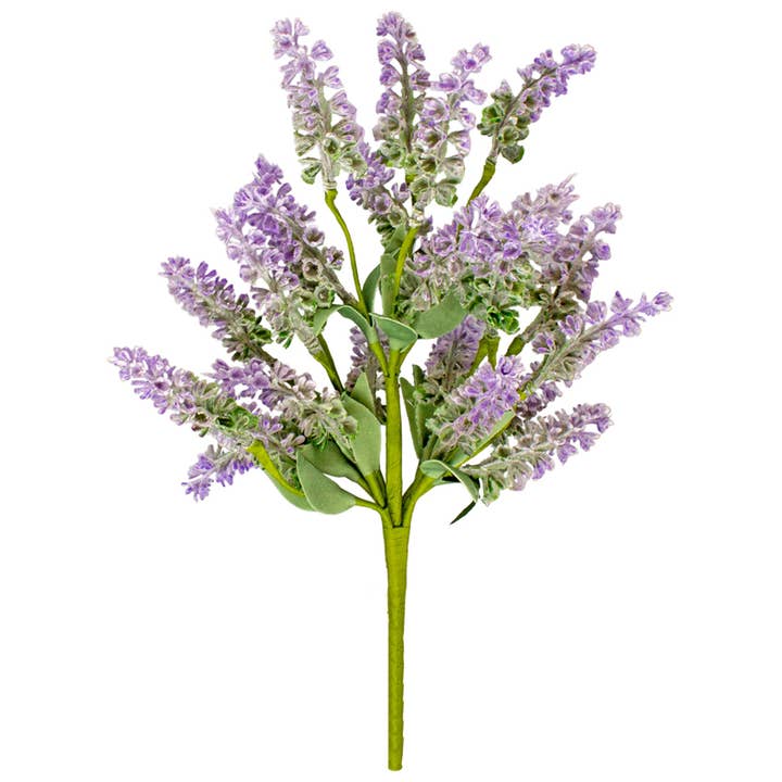 Lavendelernte für den Großhandel von WT Collection