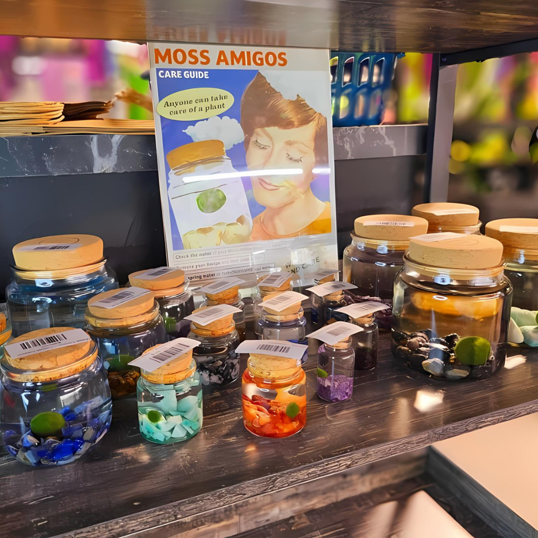 Moss Amigos | Moss Ball Terrariums - Wholesale Live Plant - Small Marimo Moss Ball Terrarium with Carnelian Gemstones5