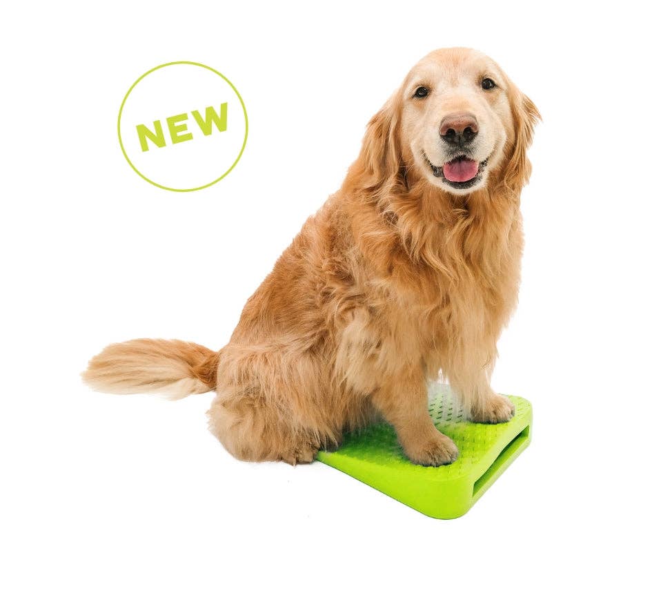 FitPAWS - Wholesale Pet Toy - Dog - FitPaws Balance Ramp