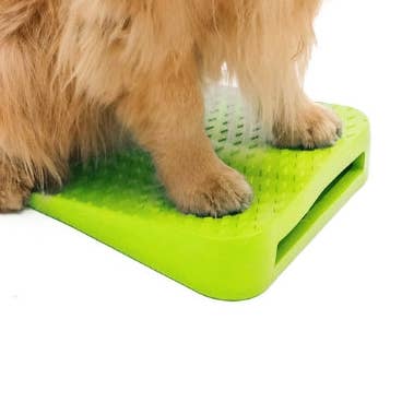 Rampe d'équilibre FitPaws pour la vente par FitPAWS