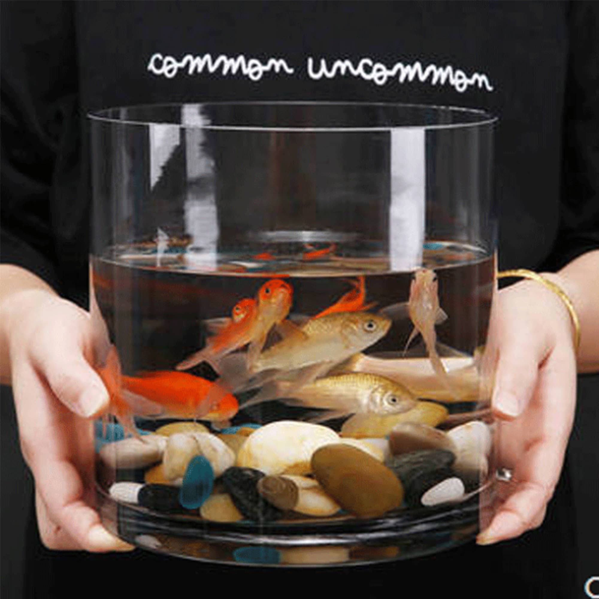 WGV International - Wholesale Vase - WGV Clear Cylinder Glass Vase - 8" x 8"H5