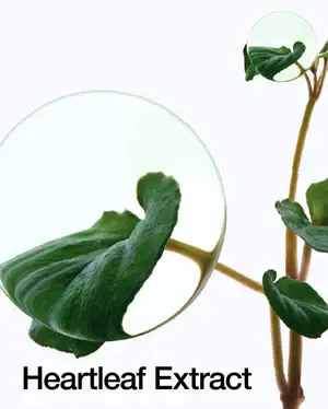 Best Beauty Group - Vente Nettoyants pour le visage - Gel Exfoliant Hydratant LHA à la Feuille de Cœur ANUA3