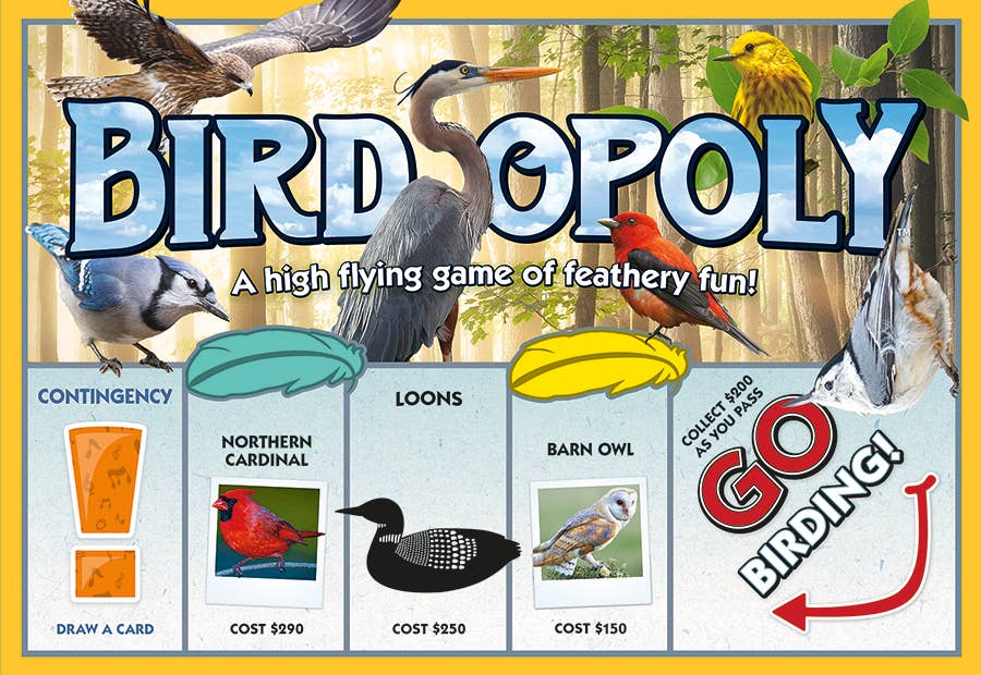 Outset Games and Cobble Hill Puzzles - Vente Jeux de société - Jeu de société Bird-Opoly, par Late for the Sky