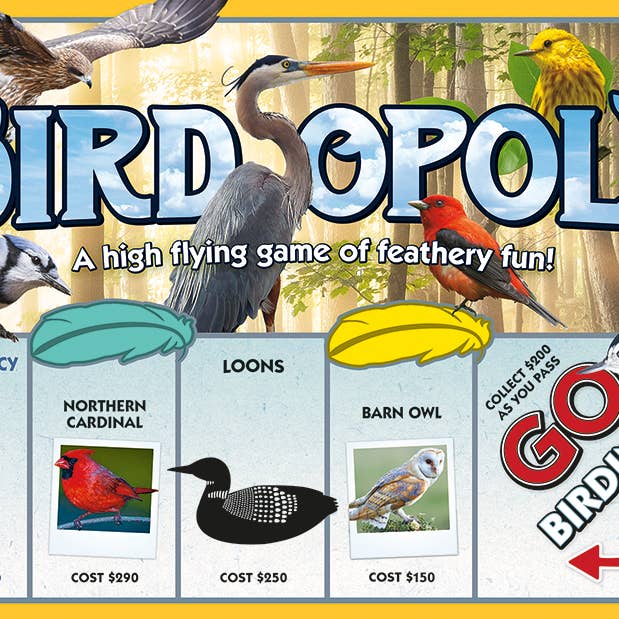 Outset Games and Cobble Hill Puzzles - Vente Jeux de société - Jeu de société Bird-Opoly, par Late for the Sky0