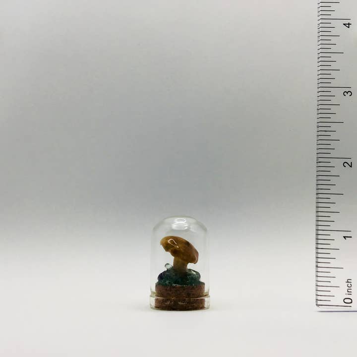 The Fungus Farm - Wholesale Sculpture - Real Mushroom Curiosity Glass Jar 1.25" Fungi Oddity # 4183