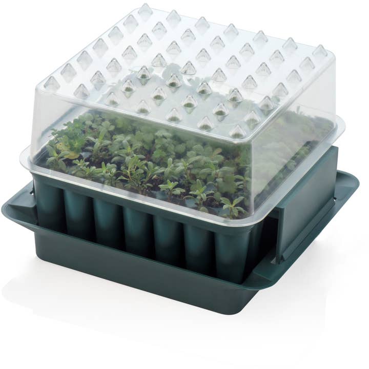 Agralan - Wholesale Garden Tool - Agralan Plug Plant Trainer