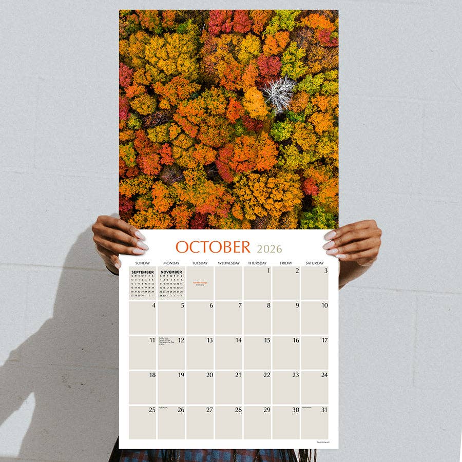 TF Publishing - Paper Goods - Vente Calendrier - Calendrier mural des arbres 20261