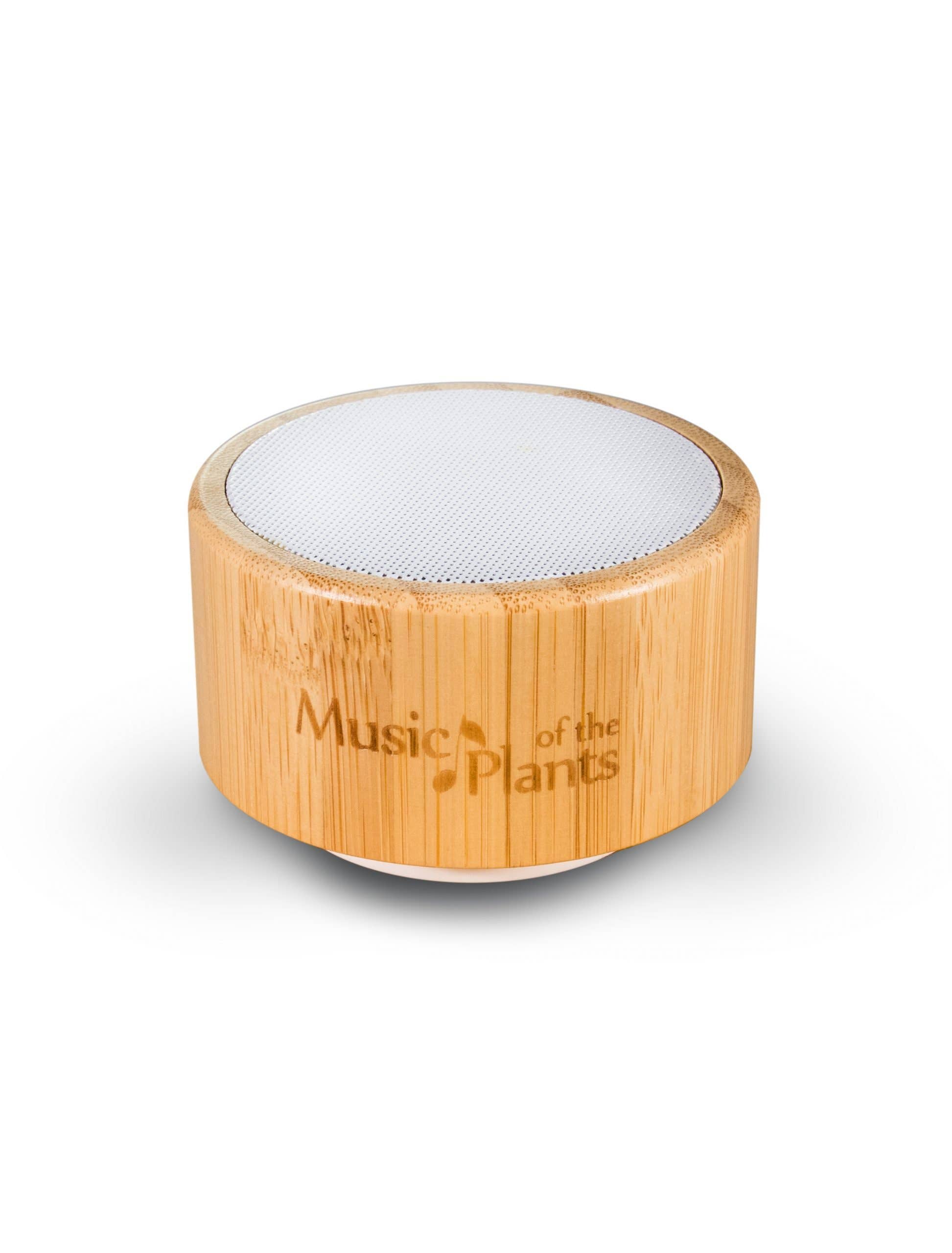 Streampath Srl - Vendita all'ingrosso Casse audio - Ginkgo - Dispositivo per musica delle piante: potente e facile da usare4