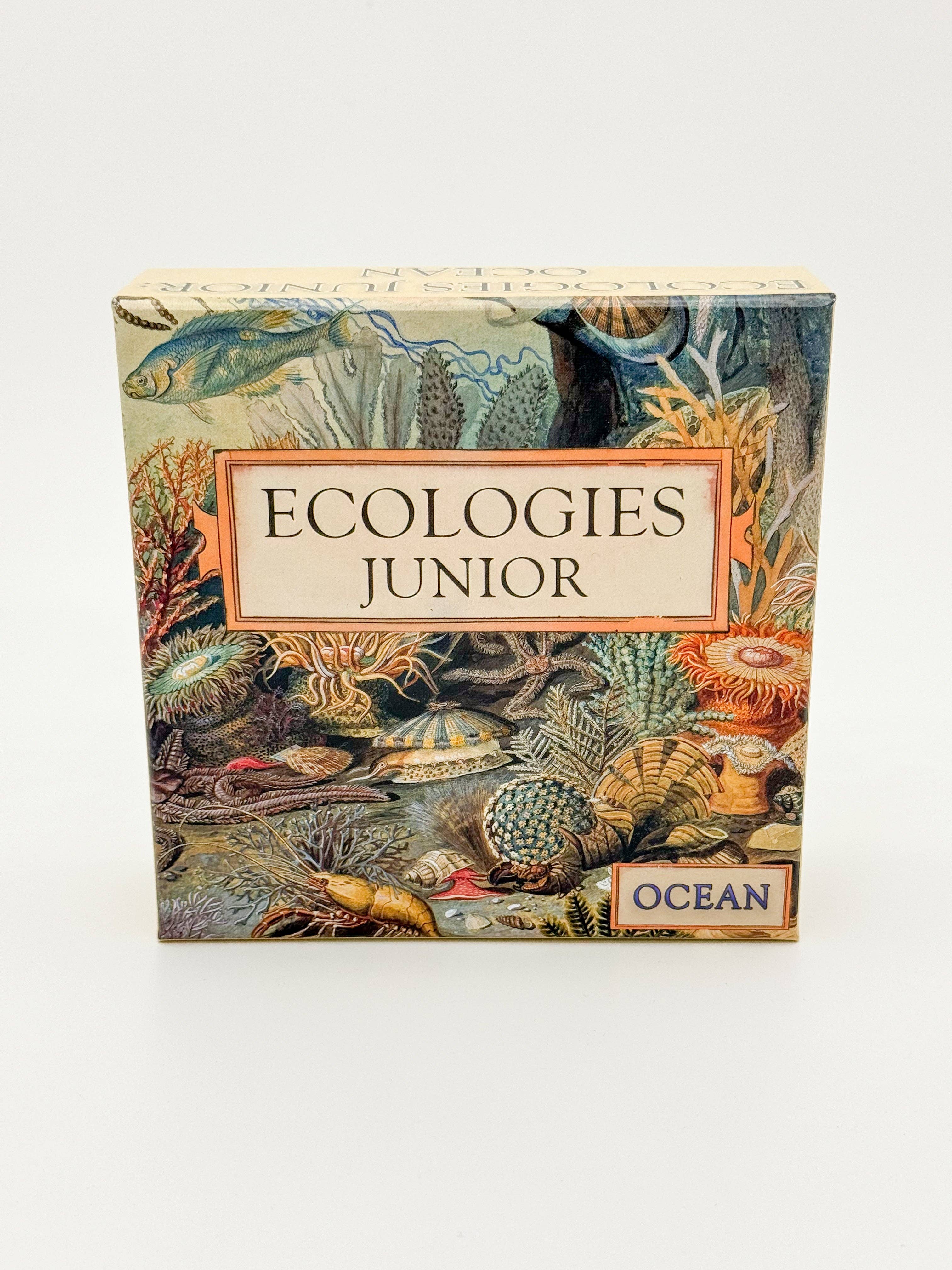 Montrose Biology - Vendita all'ingrosso Giochi di carte - Ecologie Junior: Oceano1