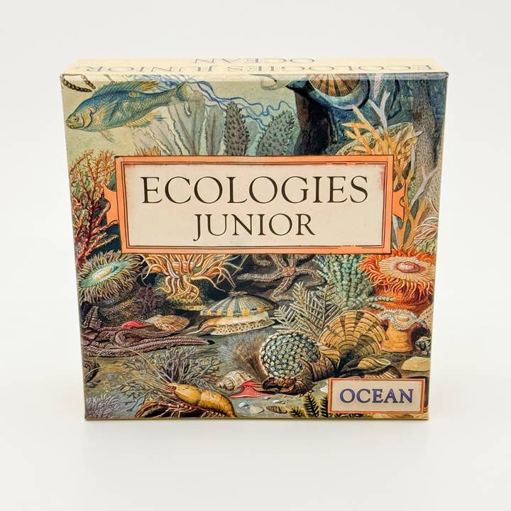 Montrose Biology - Vendita all'ingrosso Giochi di carte - Ecologie Junior: Oceano1