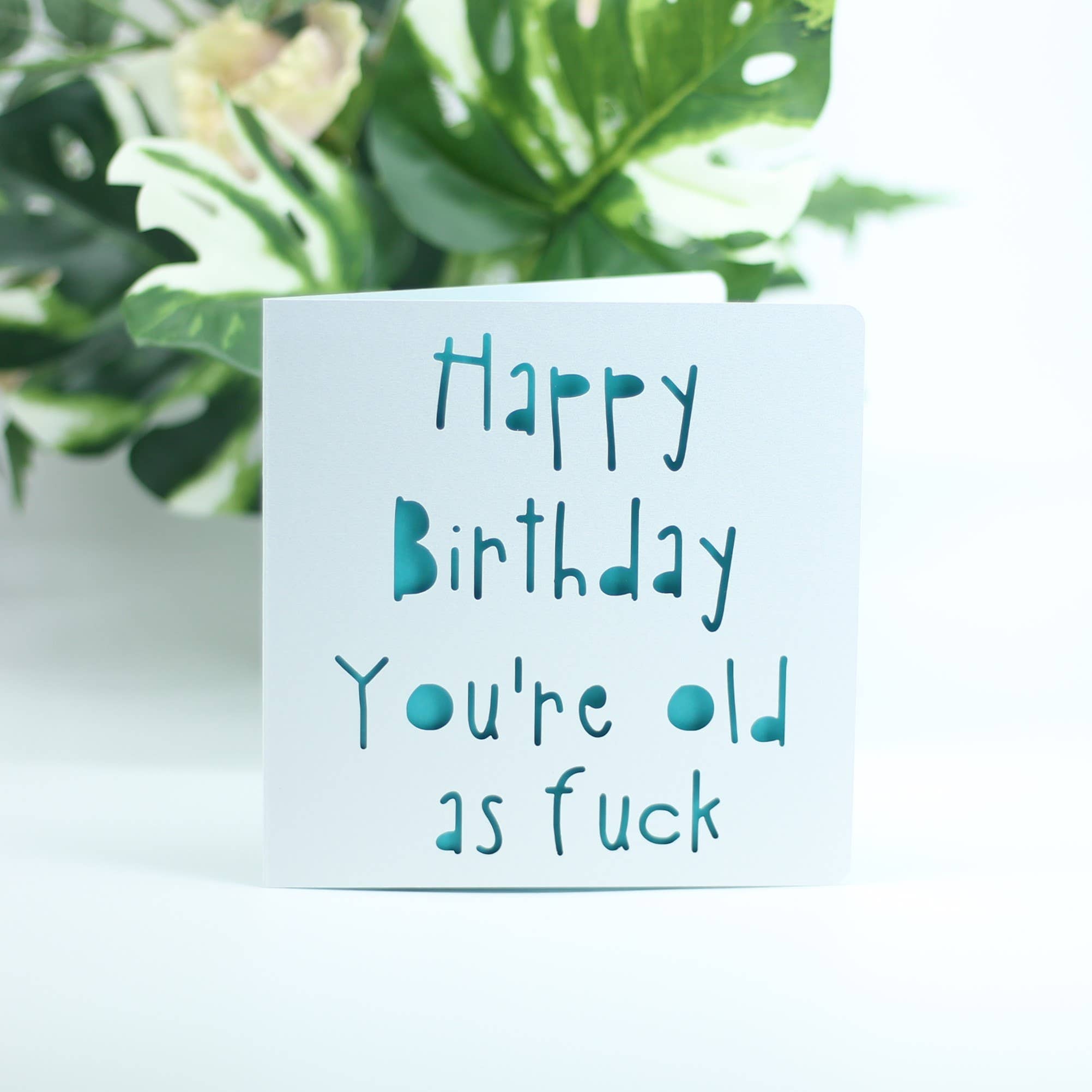 Paradise Papercraft - Vendita all'ingrosso Biglietti di auguri - Buon compleanno, sei vecchio come fottuto0