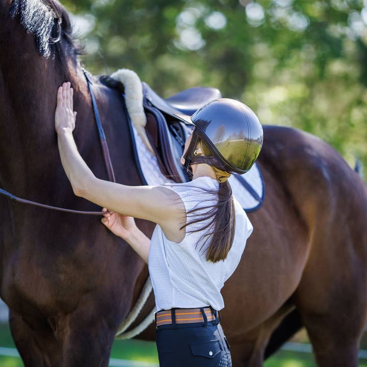 Huston x Ellany - Wholesale Belt - Women's - Ophelia - 1.5" Gold Stirrup Equestrian Elastic Belt2