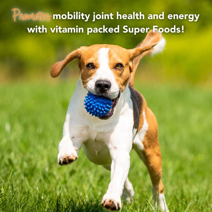 iHeartDogs.com - Vente Compléments alimentaires – chien - Super Greens : complément vitaminé, minéral et probiotique pour chiens avec spiruline, varech, thé vert, épinards, chlorelle et pousses de brocoli - 90 doses - iHeartDogs.com7