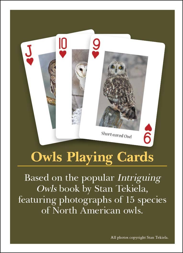 AdventureKEEN - Wholesale Playing Cards - Owls Playing Cards1