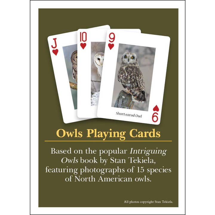 AdventureKEEN - Vente Jeu de cartes - Chouettes à jouer aux cartes1