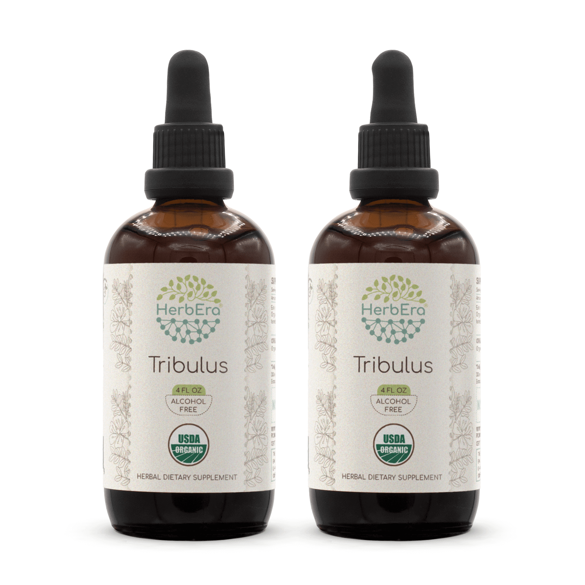 HerbEra - Wholesale Tincture - Tribulus Tincture6